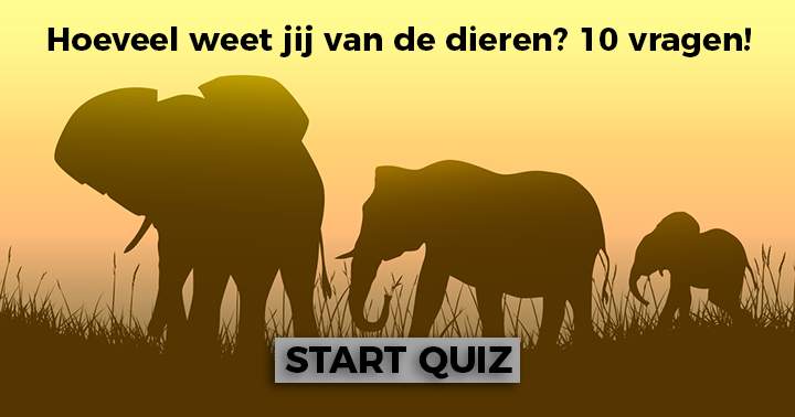 Hoeveel weet jij over het prachtige dierenrijk?